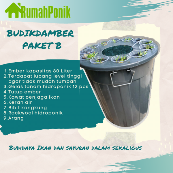 budikdamber