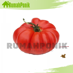 Puluhan Benih / Bibit Sayuran Buah Tomat Mawar Unik