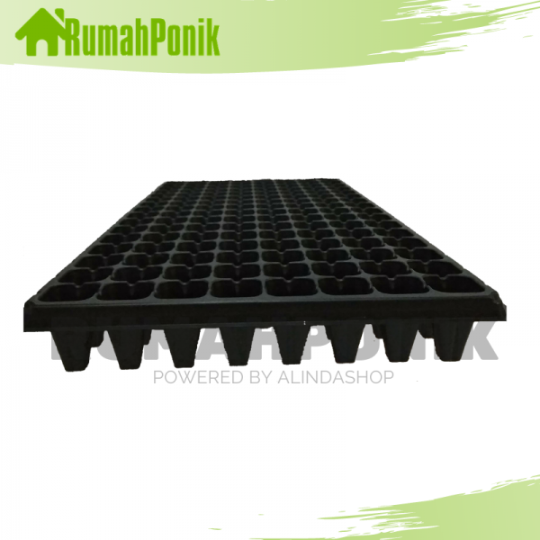 tray semai