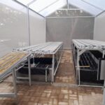 Greenhouse Hidroponik Sayuran Skala Menengah