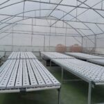 greenhouse hidroponik besi rooftop