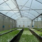 greenhouse hidroponik besi galvanis